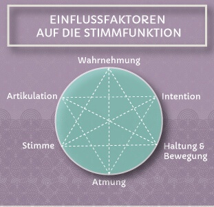 Einflussfaktoren auf die Stimmfunktion